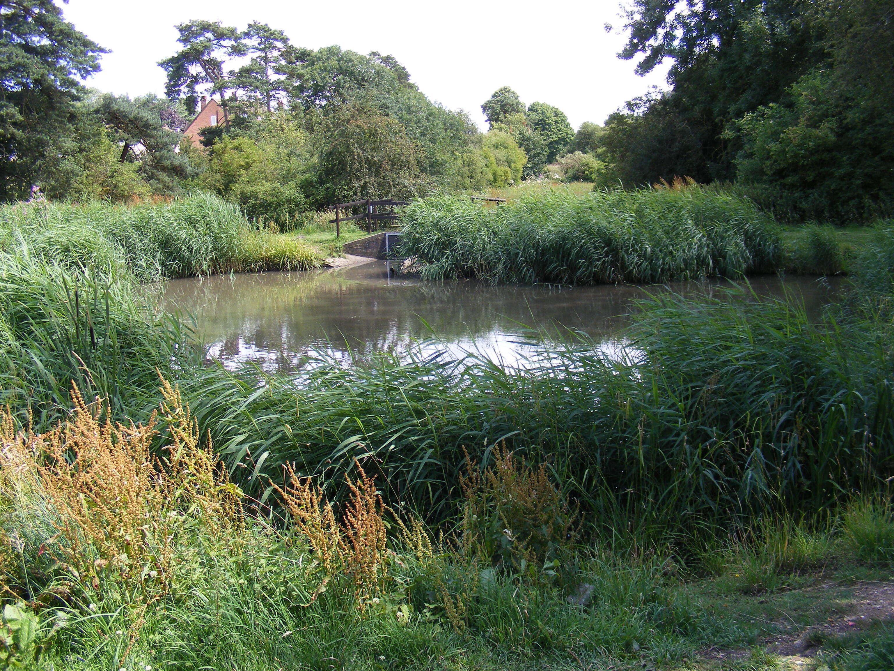Southdown Ponds on Harpenden Common These were created in 1928 to take water run off the nearby roads.