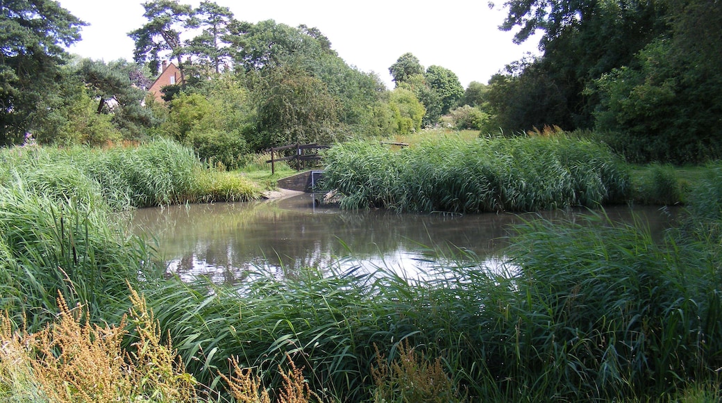Southdown Ponds on Harpenden Common These were created in 1928 to take water run off the nearby roads.