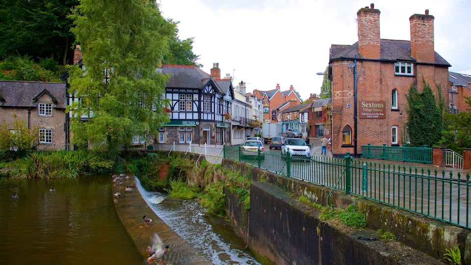 A riverside town with historic buildings, a bridge, and ducks swimming in the water.