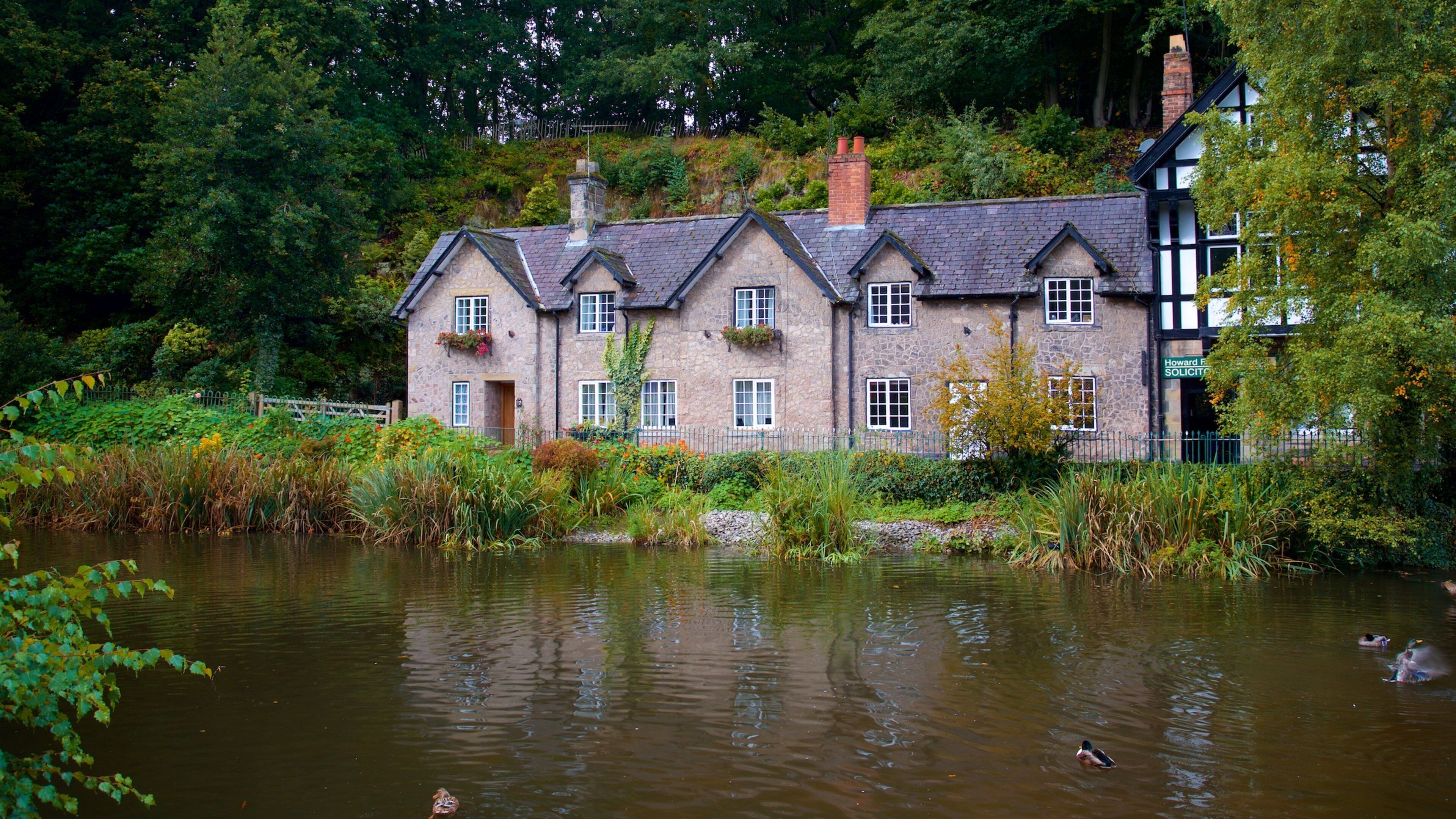Lymm som viser hus og dam