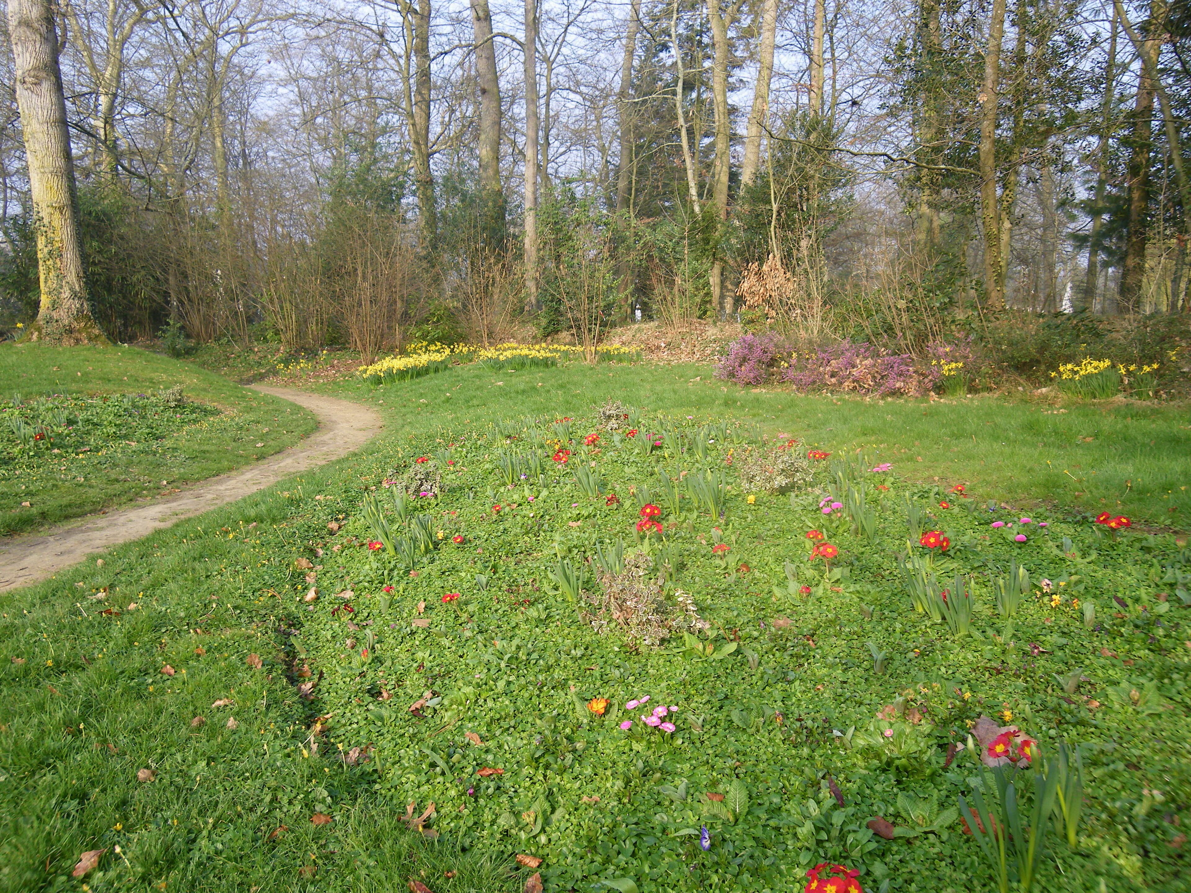 le parc prés de la mairie a cesson sevigné
