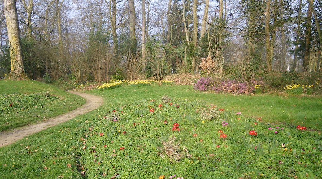 le parc prés de la mairie a cesson sevigné