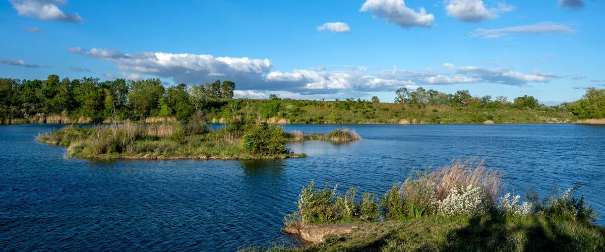 A calm lake surrounded by dense greenery and trees under a clear blue sky.