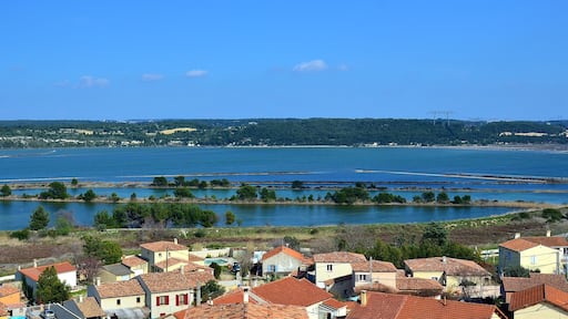 FOS SUR MER : ETANG DE L'ESTOMAC