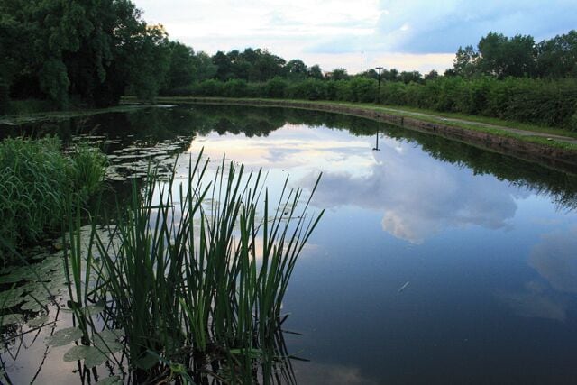 Ex Canal Junction Here (just north of the Sandiacre Lock) the Derby and Sandiacre Canal once joined the Erewash Canal.