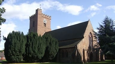 Uma igreja com uma torre do relógio e uma grande árvore em frente.