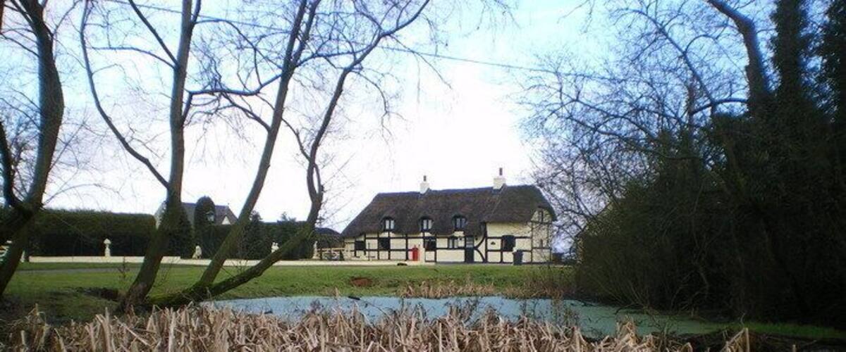 A house by a pond with reeds.