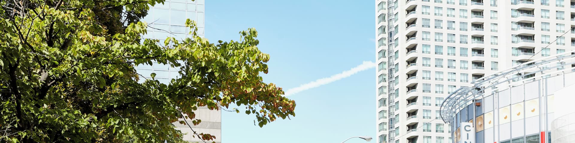 EyeEm Custom Shoots Q4 2018