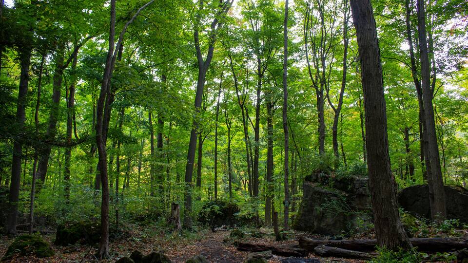 Niagara Glen, Ontario, Canada