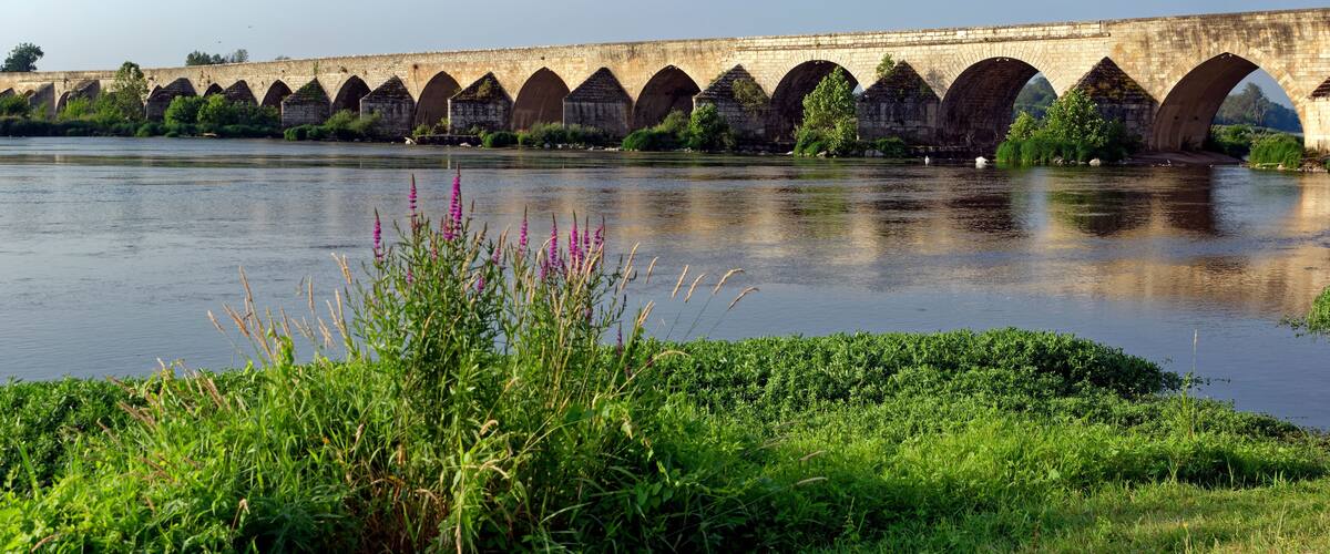 A stone bridge with multiple arches over a river, surrounded by greenery and wildflowers.