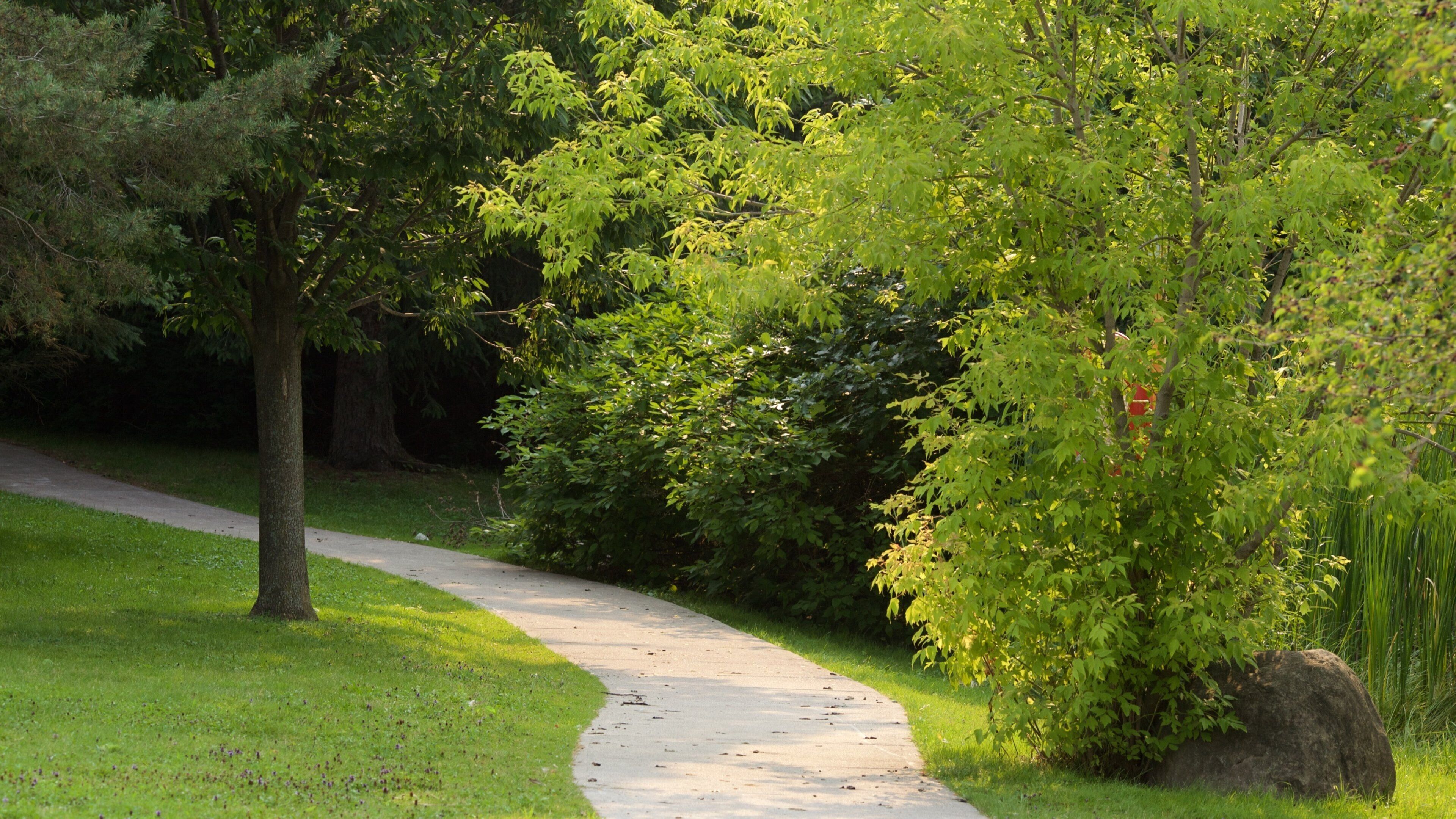 Thornhill que incluye un parque