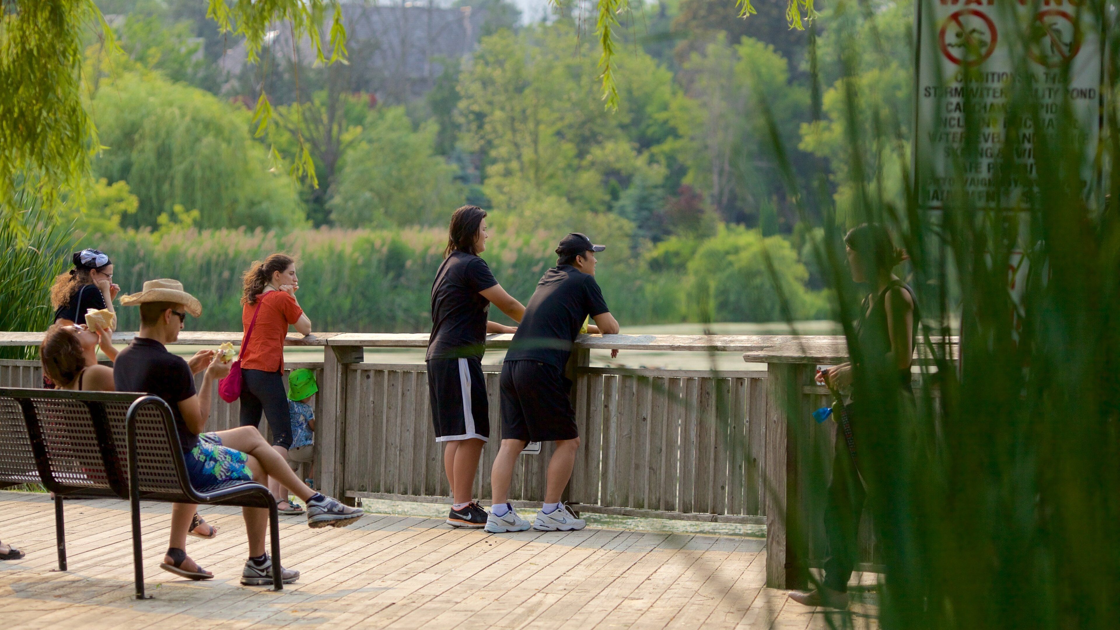 Thornhill som visar utsikter och en park såväl som en liten grupp av människor