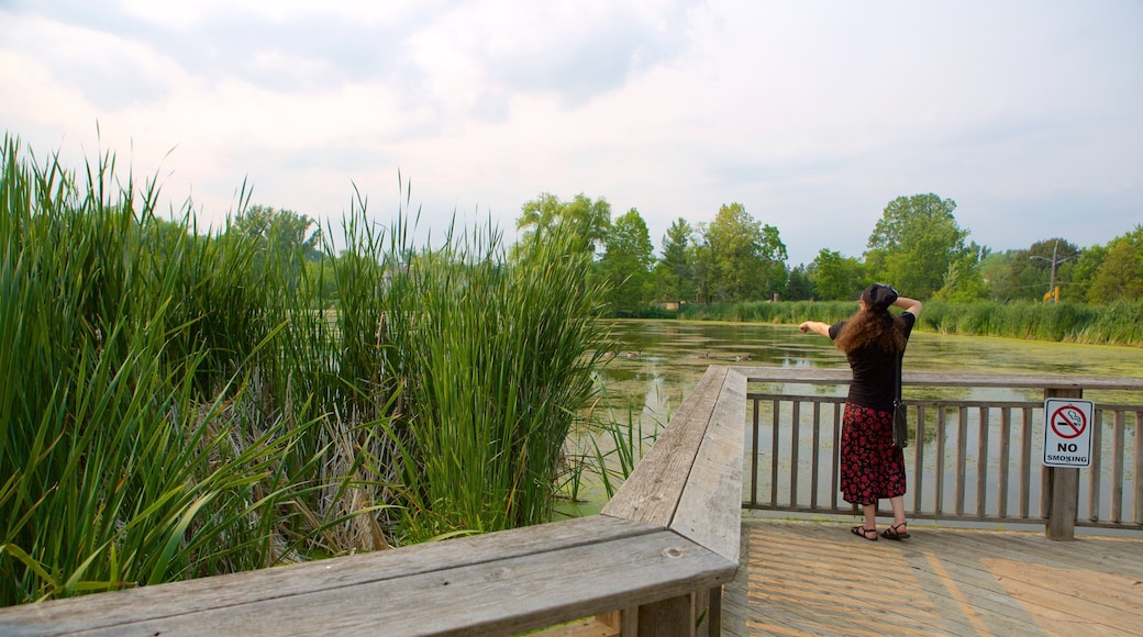 Thornhill presenterar en trädgård och en damm såväl som en kvinna