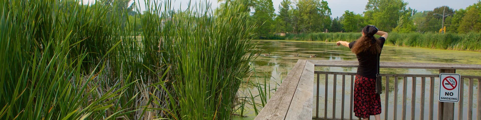 Thornhill which includes a pond and a garden as well as an individual femail