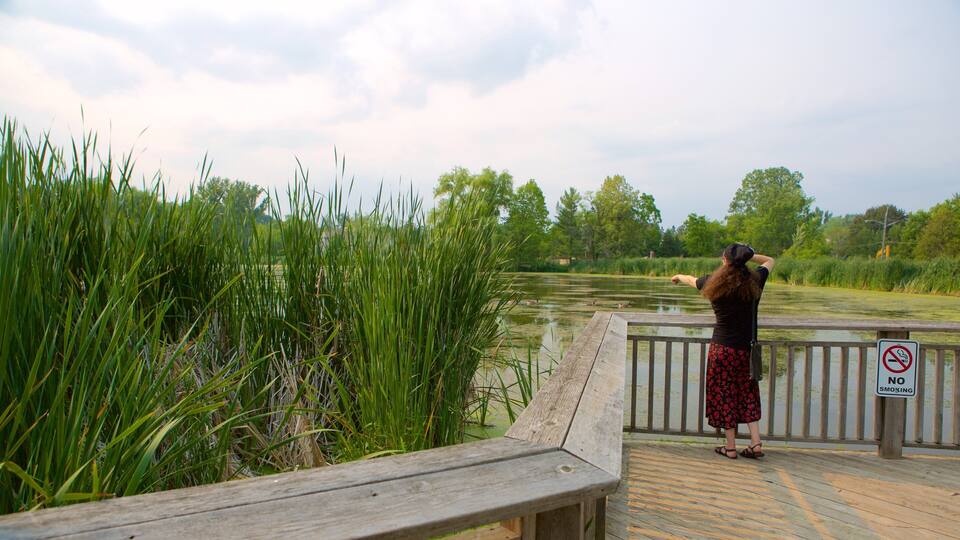 Thornhill which includes a pond and a garden as well as an individual femail