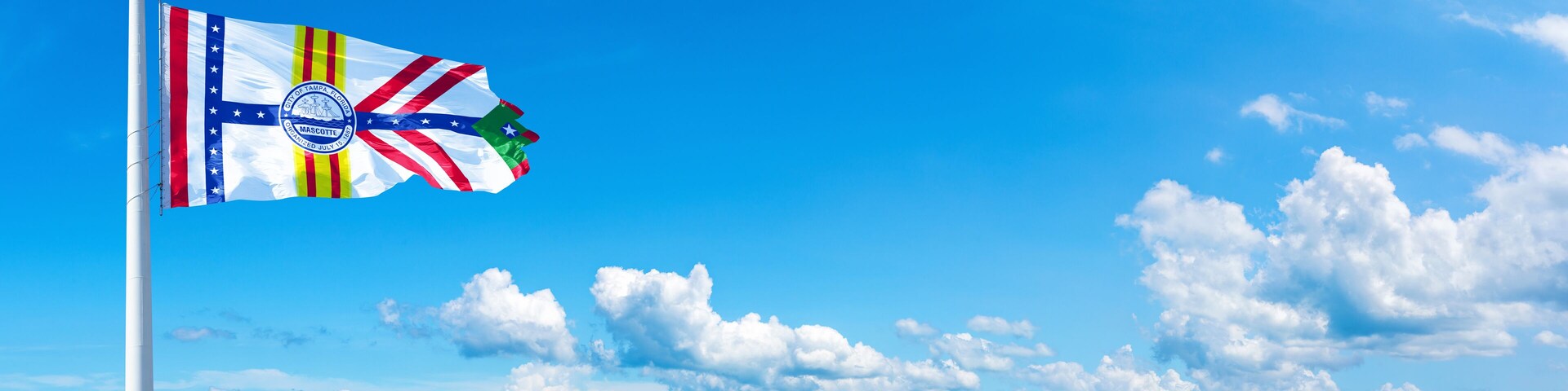A flag on a pole with a blue sky and clouds in the background.