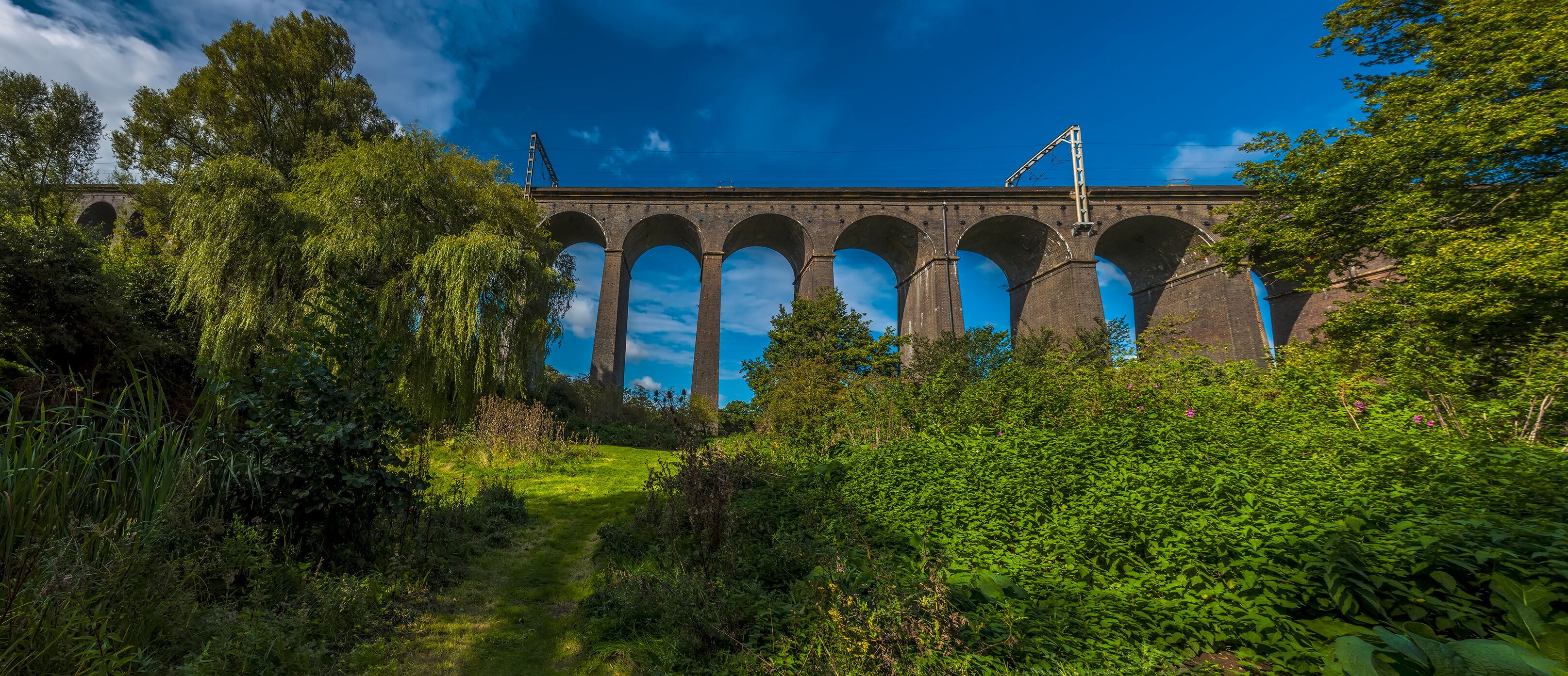 A view from the banks of the River Mimram looking up at the Digswell Viaduct near Welwyn Garden City, UK in the summertime