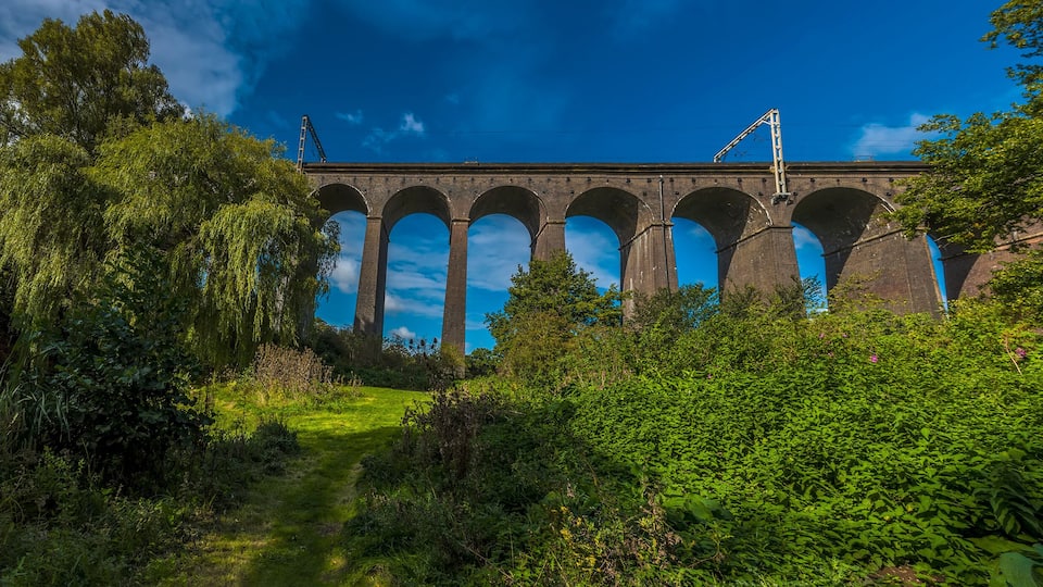 A stone viaduct with multiple arches, surrounded by lush greenery and trees.