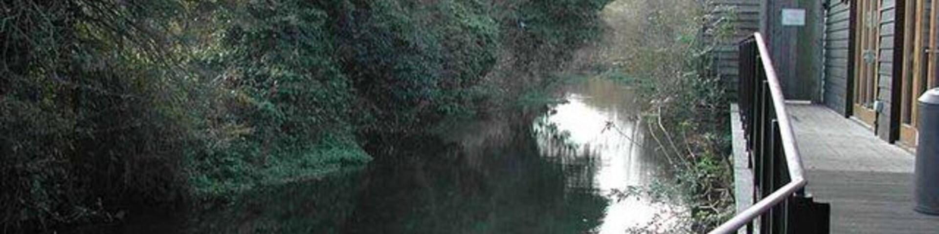 Un río tranquilo con una pasarela de madera a la derecha, rodeado de abundante vegetación.