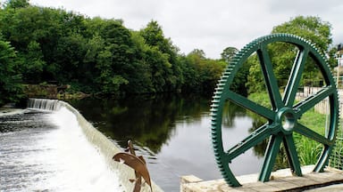 By the River Wharfe @ Wetherby, North Yorkshire, UK (Aug 2018).