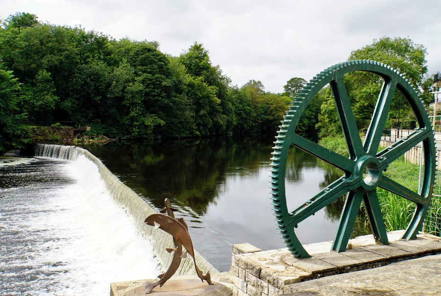By the River Wharfe @ Wetherby, North Yorkshire, UK (Aug 2018).