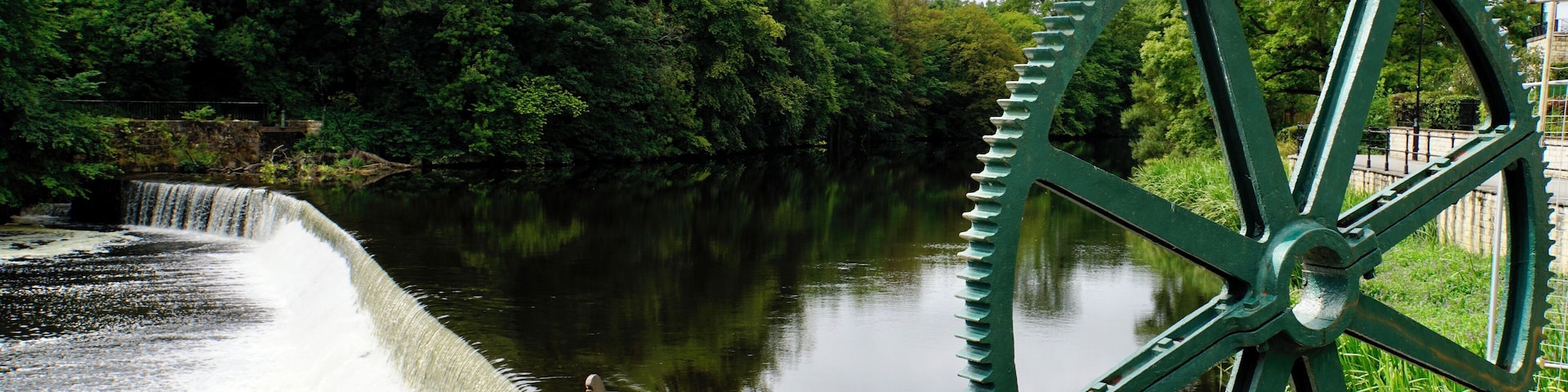 By the River Wharfe @ Wetherby, North Yorkshire, UK (Aug 2018).