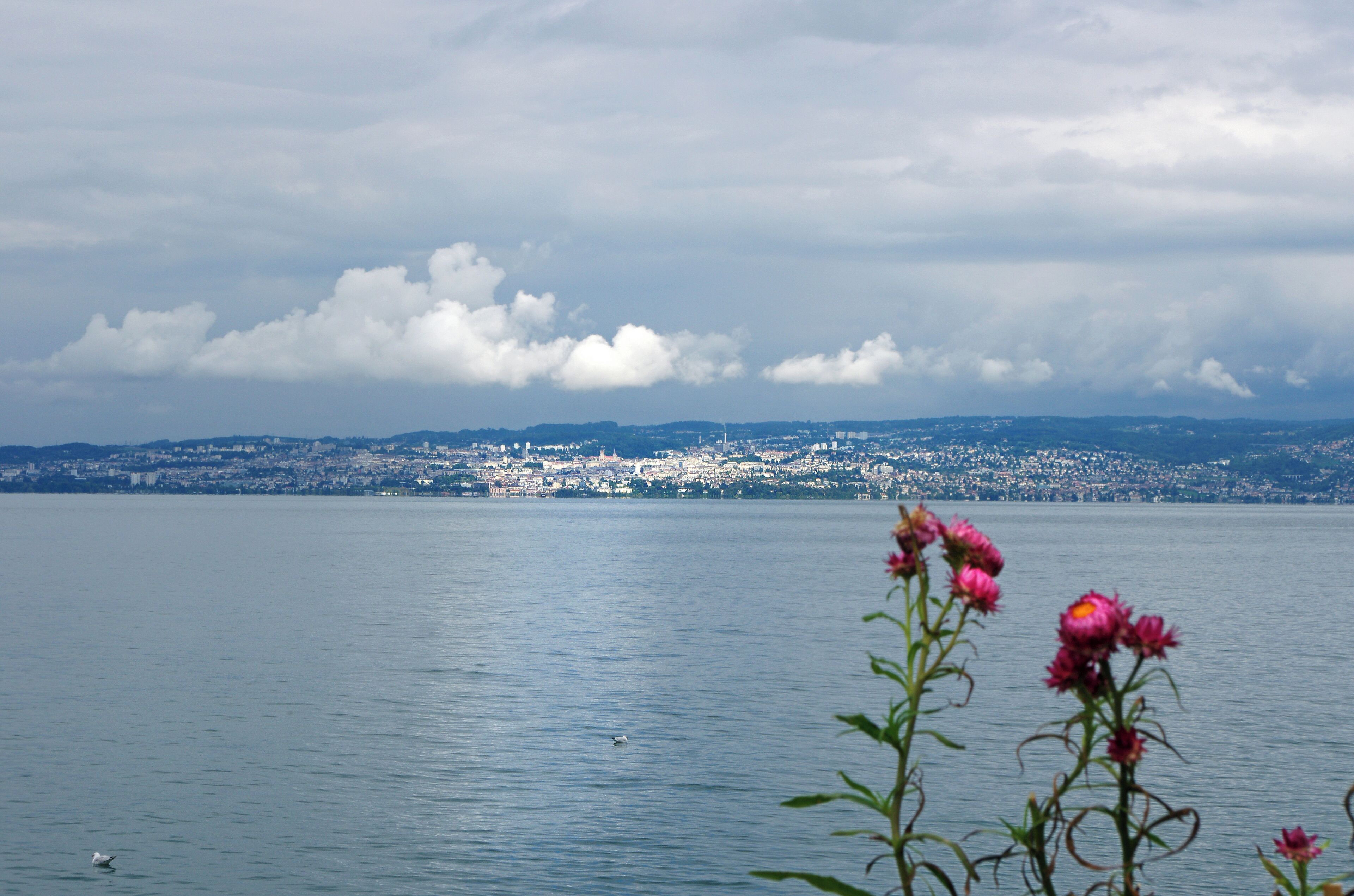 A calm lake with a cityscape in the distance, surrounded by clouds.