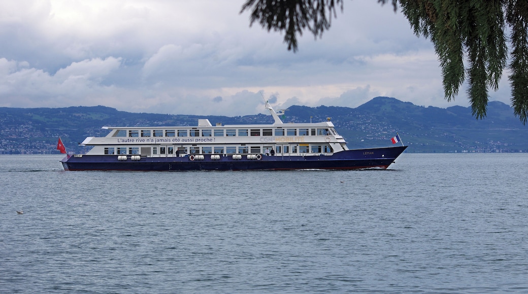 Le bateau le Léman, appartenant à la Compagnie générale de navigation (CGN), a été mis en service en 1990. Sa capacité est d'environ 800 passagers. Il mesure presque 50 m de longueur et 9 de largeur. La traversée Evian-Lausanne se fait en une quarantaine de minutes. The boat Léman belonging to the General Navigation Company (CGN), was commissioned in 1990. Its capacity is 800 passengers. It measures almost 50 meters long and 9 wide. Crossing Evian-Lausanne is in forty minutes.