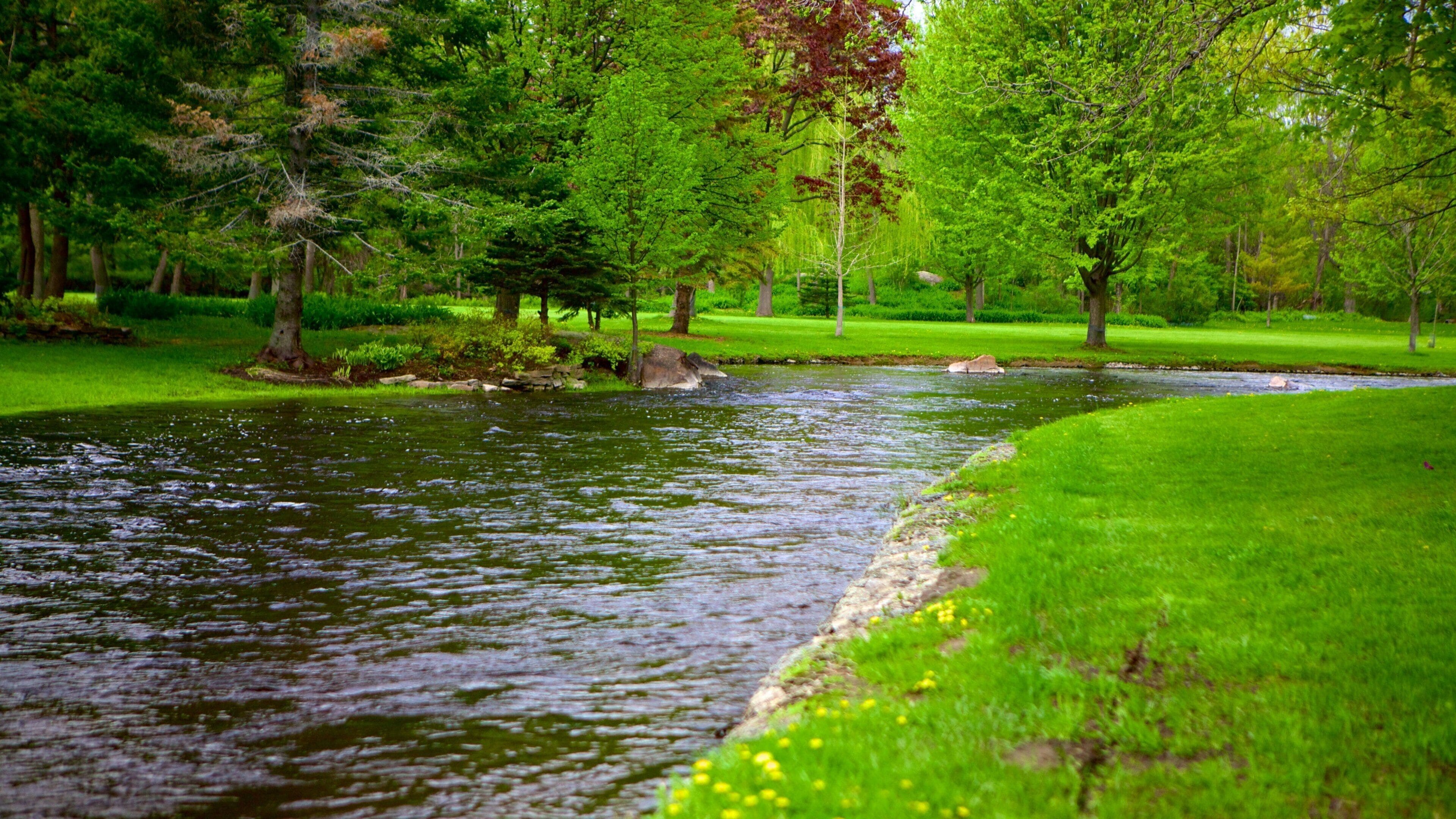 A river flowing through a park with green grass and trees.