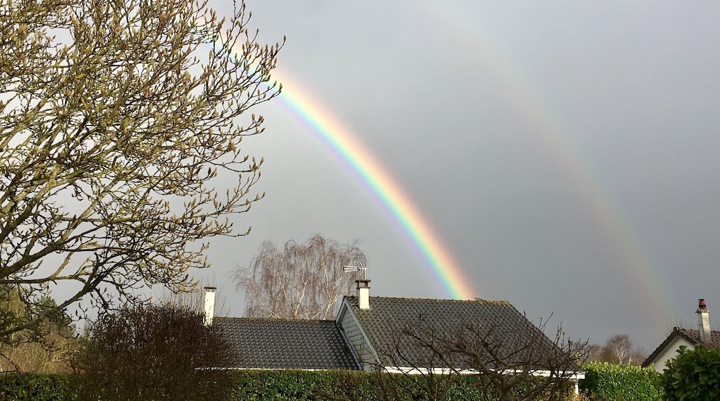 Il y a une semaine tout pile ... après le semi marathon de Paris
Un vrai cadeau 😊