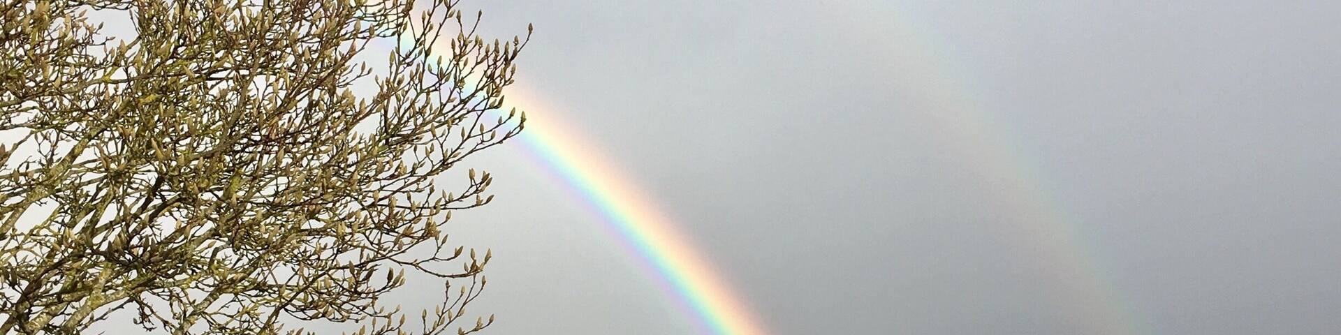 Il y a une semaine tout pile ... après le semi marathon de Paris
Un vrai cadeau 😊