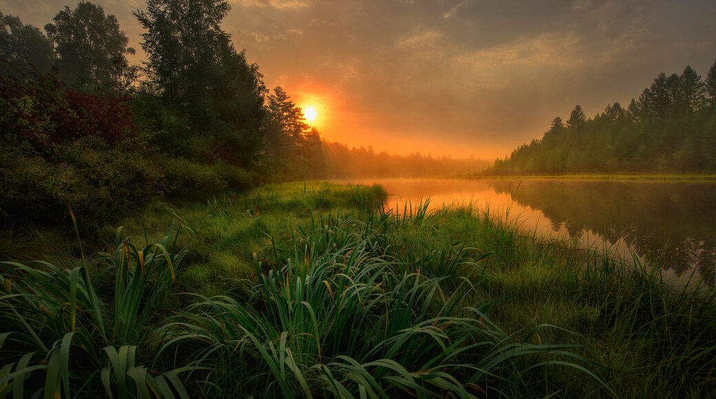 Green Canoe and Chairs on a Dock Next to a Lake at Sunset - Haliburton Highlands, Ontario, Canada