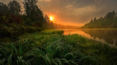 Haliburton