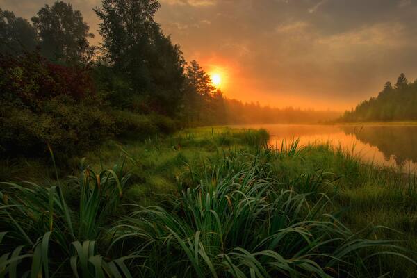 Green Canoe and Chairs on a Dock Next to a Lake at Sunset - Haliburton Highlands, Ontario, Canada