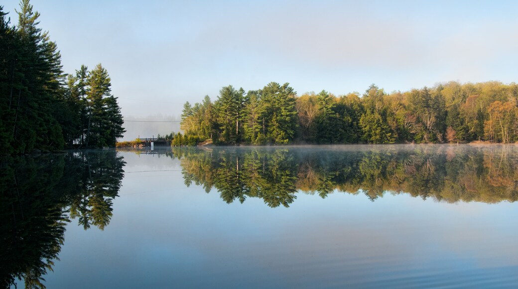 Calm summer morning at a lake
