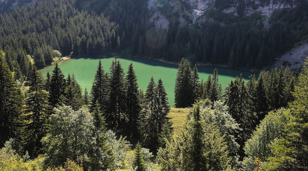 Lac Bénit (Mont Saxonnex)