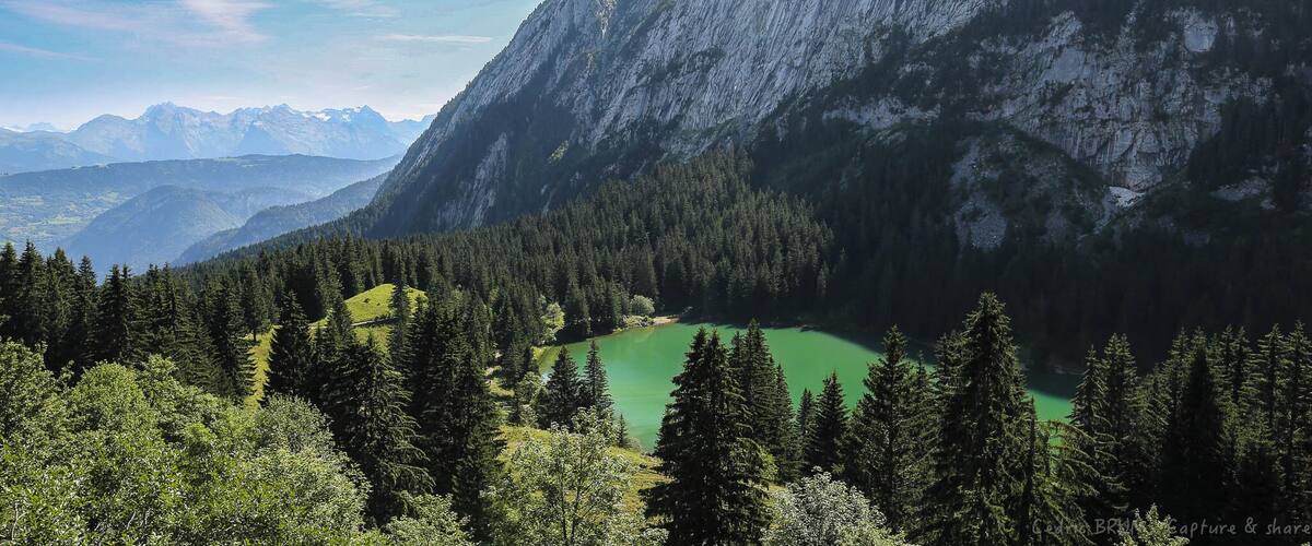 A mountainous landscape with dense forests and a green lake.
