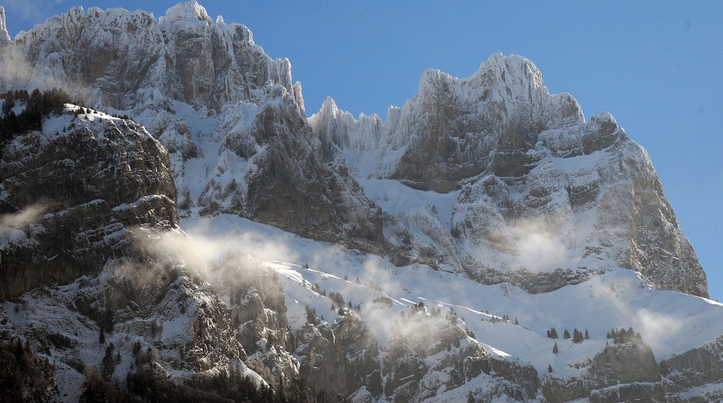 Aiguilles de Varan circa 2600 m in the fresh snow, when driving to Chamonix at 21 Januari 2016