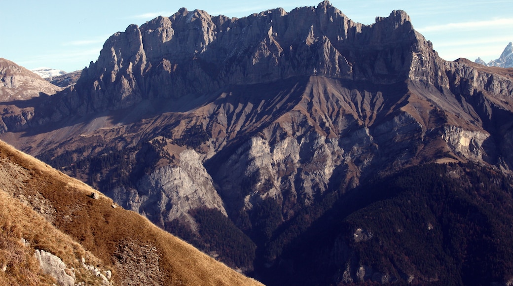 TĂȘte du Colonney et Aiguille de Varan, cĂŽtĂ© ouest.