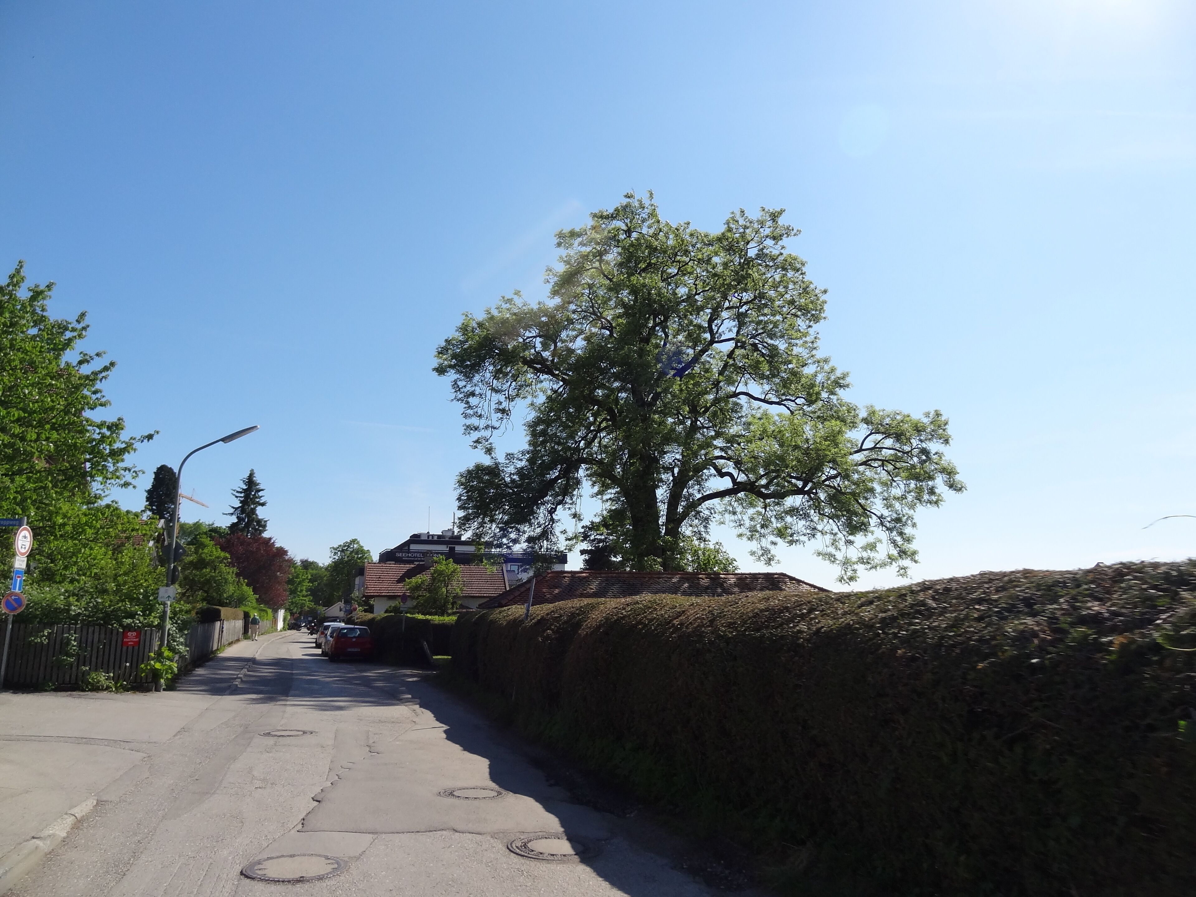 Leoni, 82335, Germany