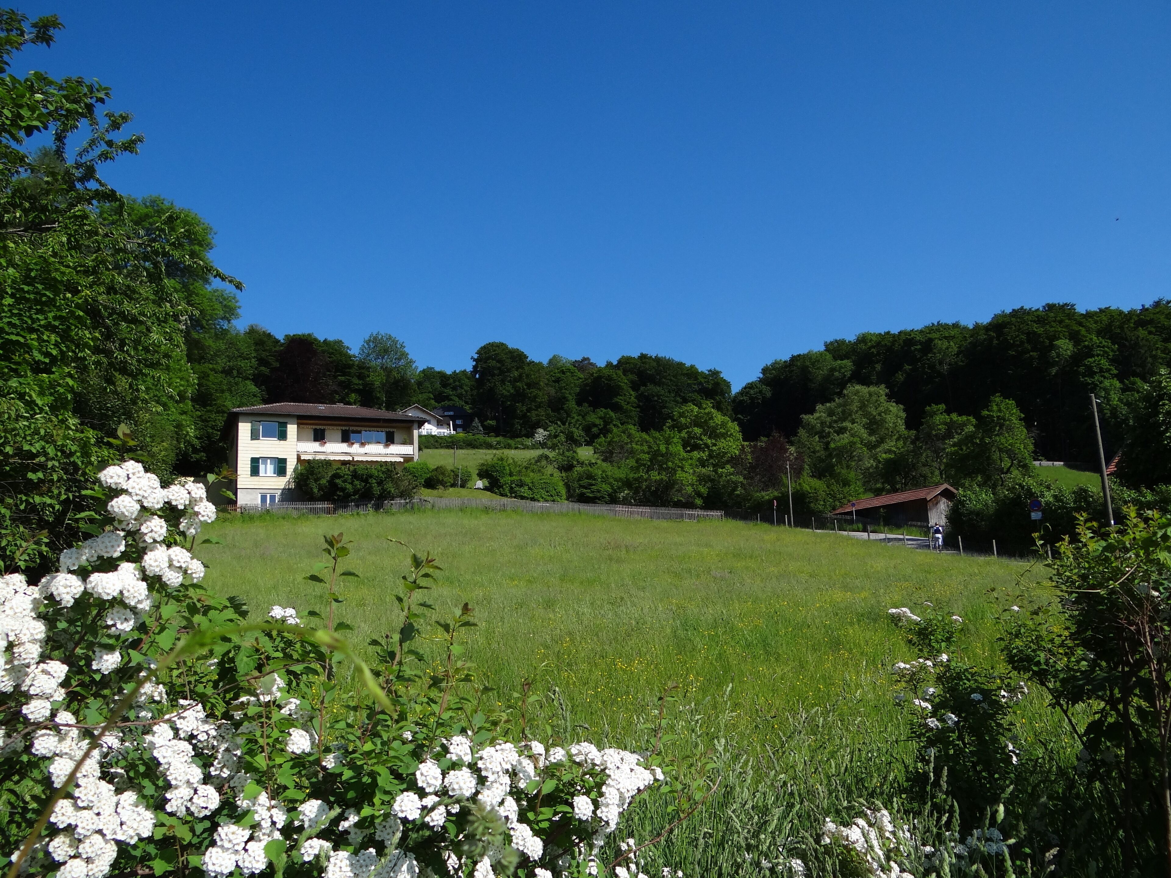 Leoni, 82335, Germany