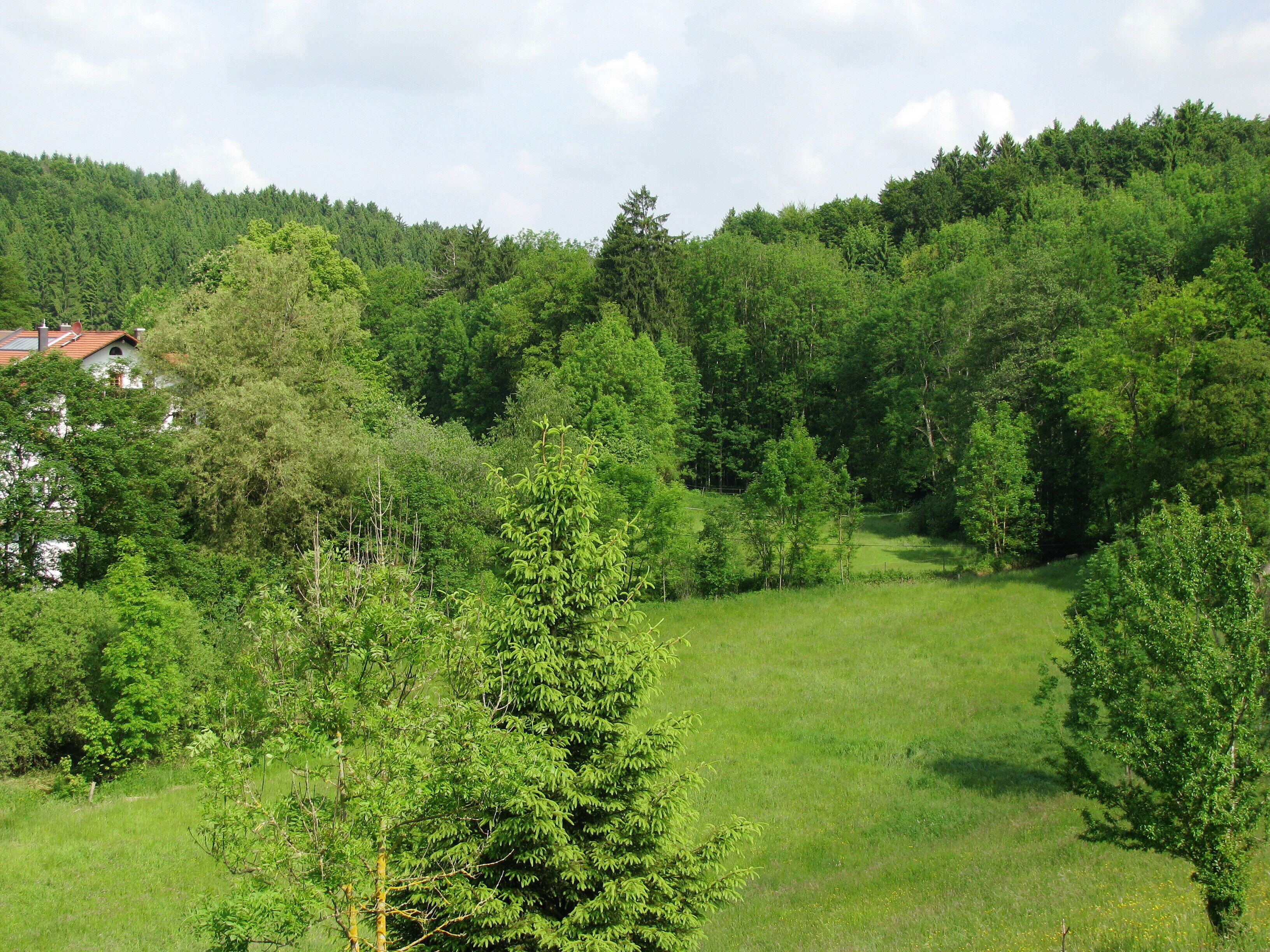 Der Lüßbach bei der Einöde Martinsholzen am Eingang zum Manthal.