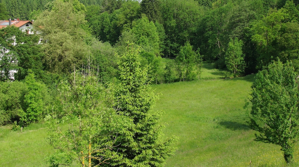 Der LÃŒÃbach bei der Einöde Martinsholzen am Eingang zum Manthal.
