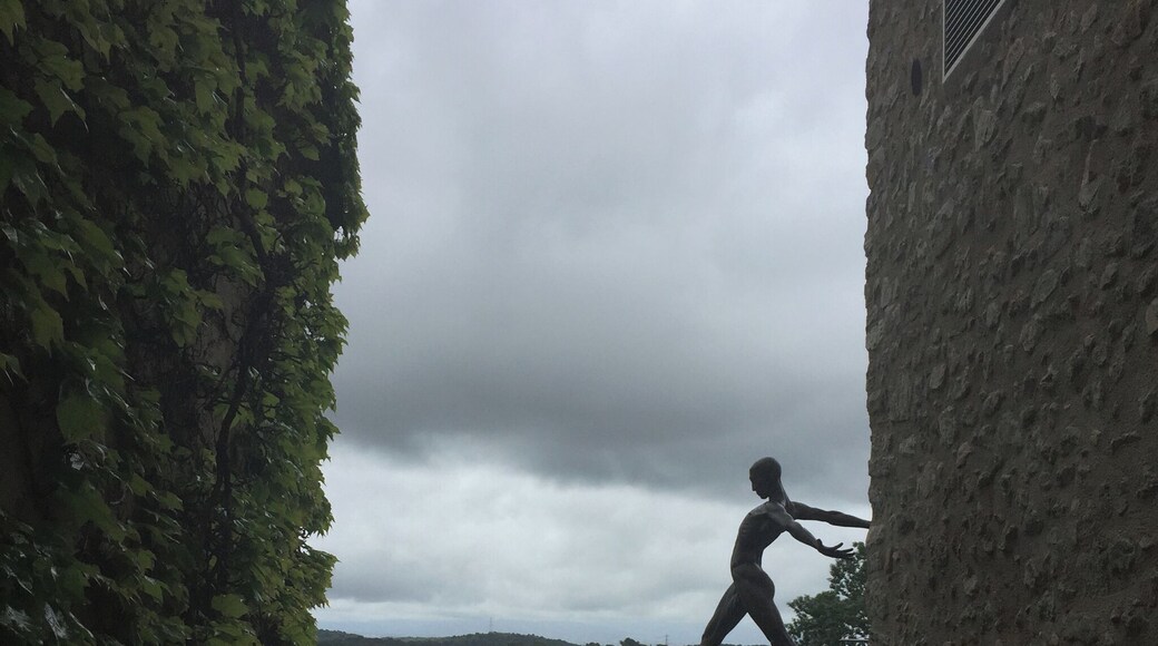 Mougins Vieux Village is a picturesque little town about 30 minutes drive from Nice. Amazing views, home of the Musée d'Art Classique, small local art galleries and cafes line the quaint streets.