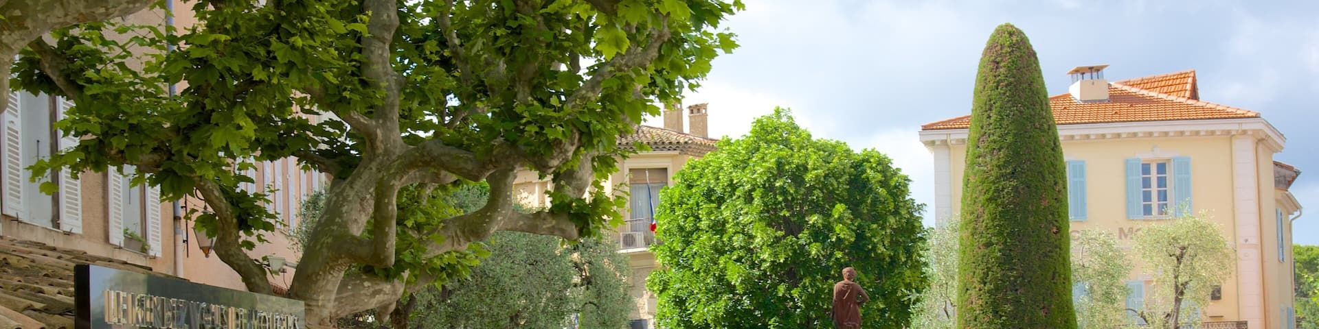 Mougins que incluye una pequeña ciudad o pueblo