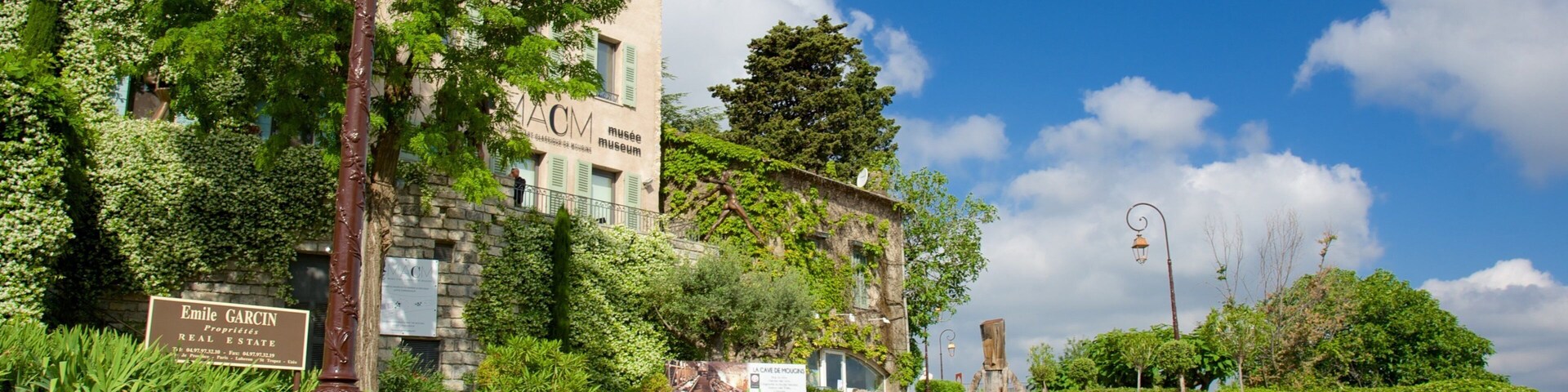 Mougins featuring a small town or village