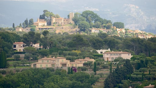 Mougins showing a small town or village