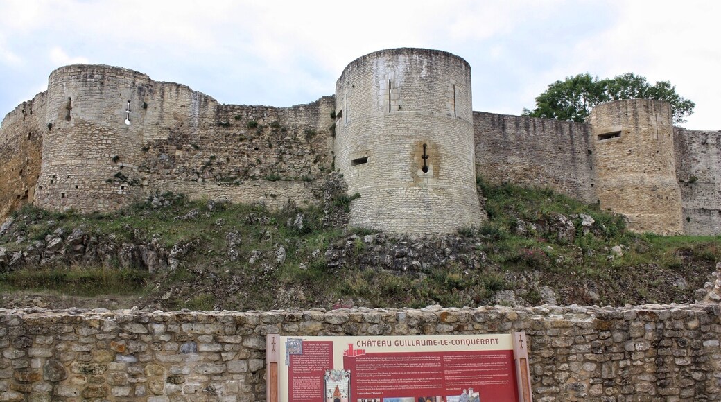 Kids are going to love .