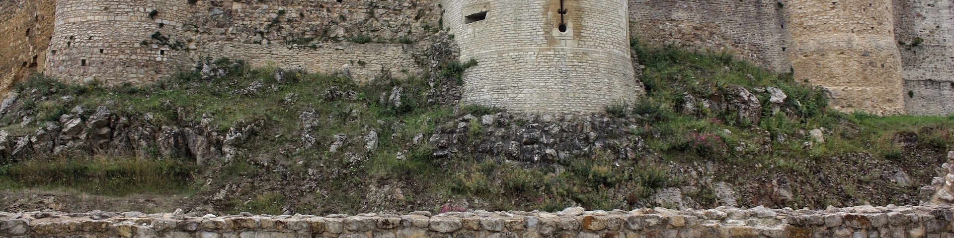 Kids are going to love .