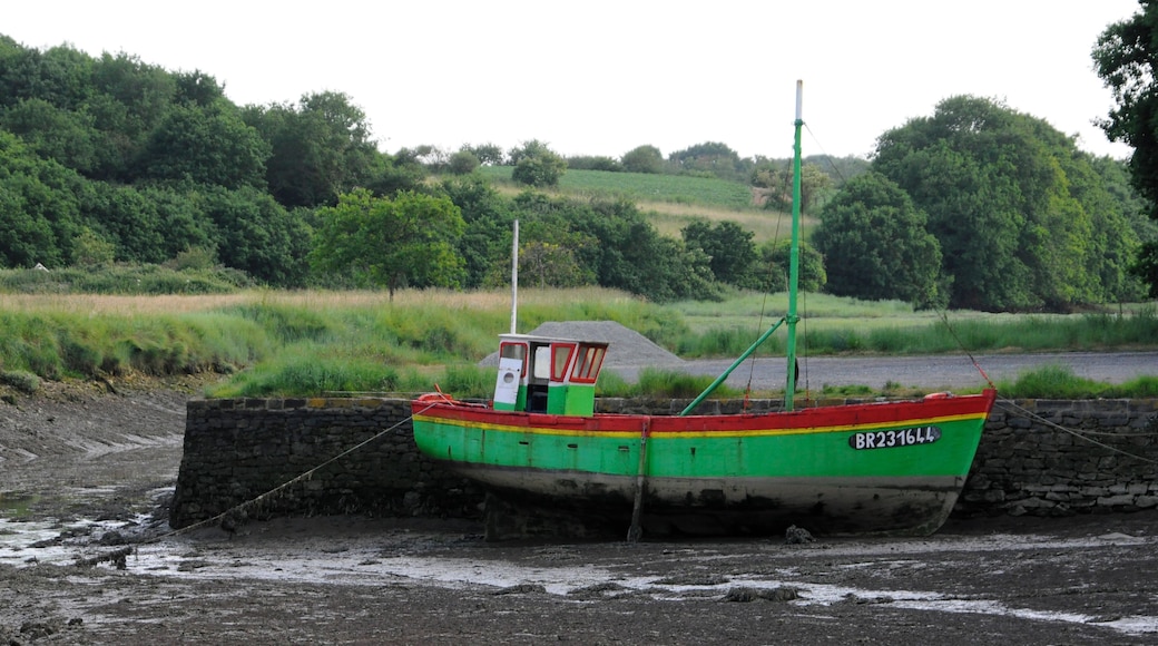 Boat at Low Tide